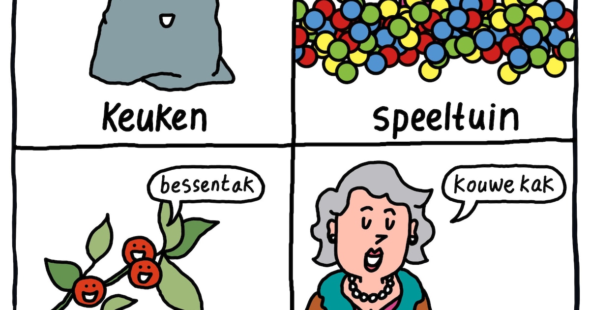 Vandaag introduceren we Wassenaar