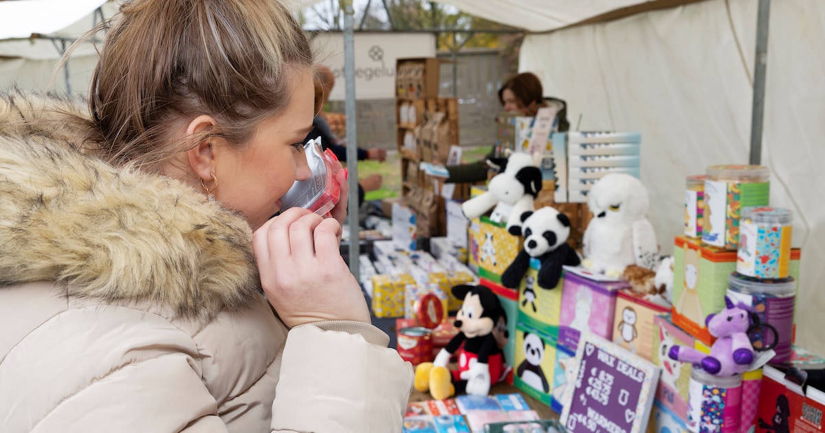 Creatieve markt Kunst & Creatief vult ’t Buurthuus in Noordwolde