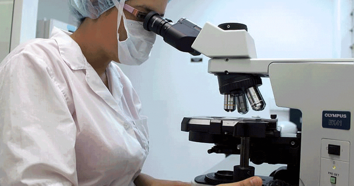 Van tunnels tot koekjesfabriek: dit zijn de plekken waar Dordrecht mogelijk besmet is met PFAS uit b