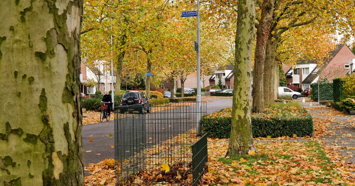Gemeente Aa en Hunze plaatst bladbakken vanaf begin oktober