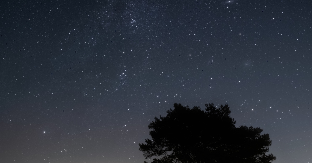 Dit uitzicht raken we kwijt, daarom komen nachtwachters nu in actie in het hele land