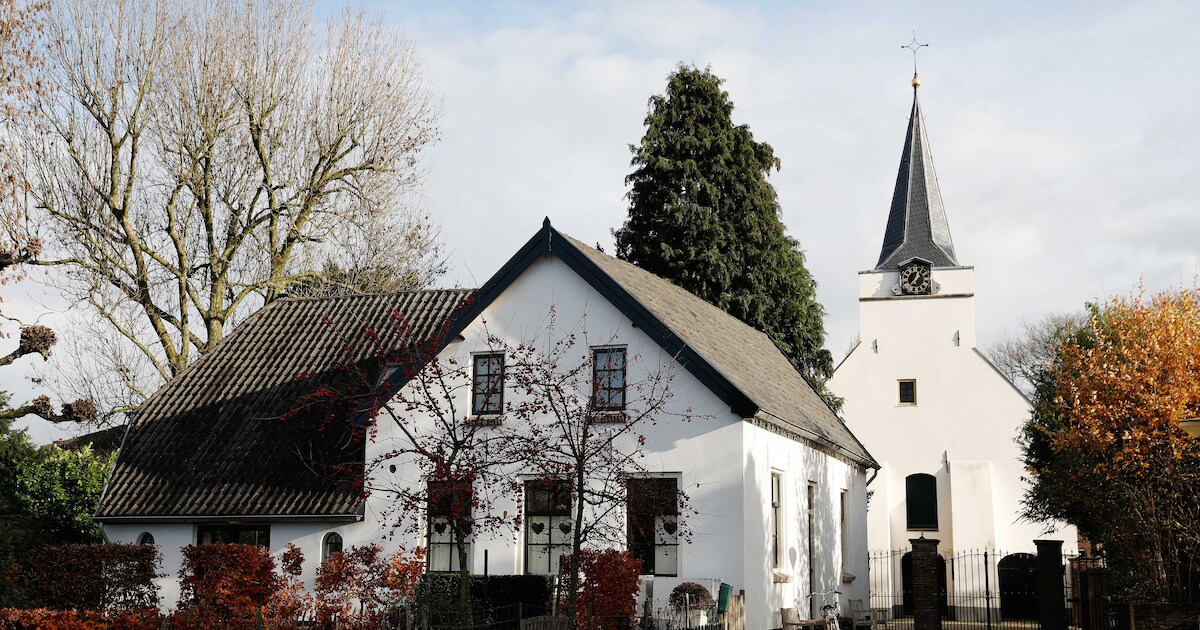 Pianostemmer ontkent zware mishandeling van dominee Rhenoy