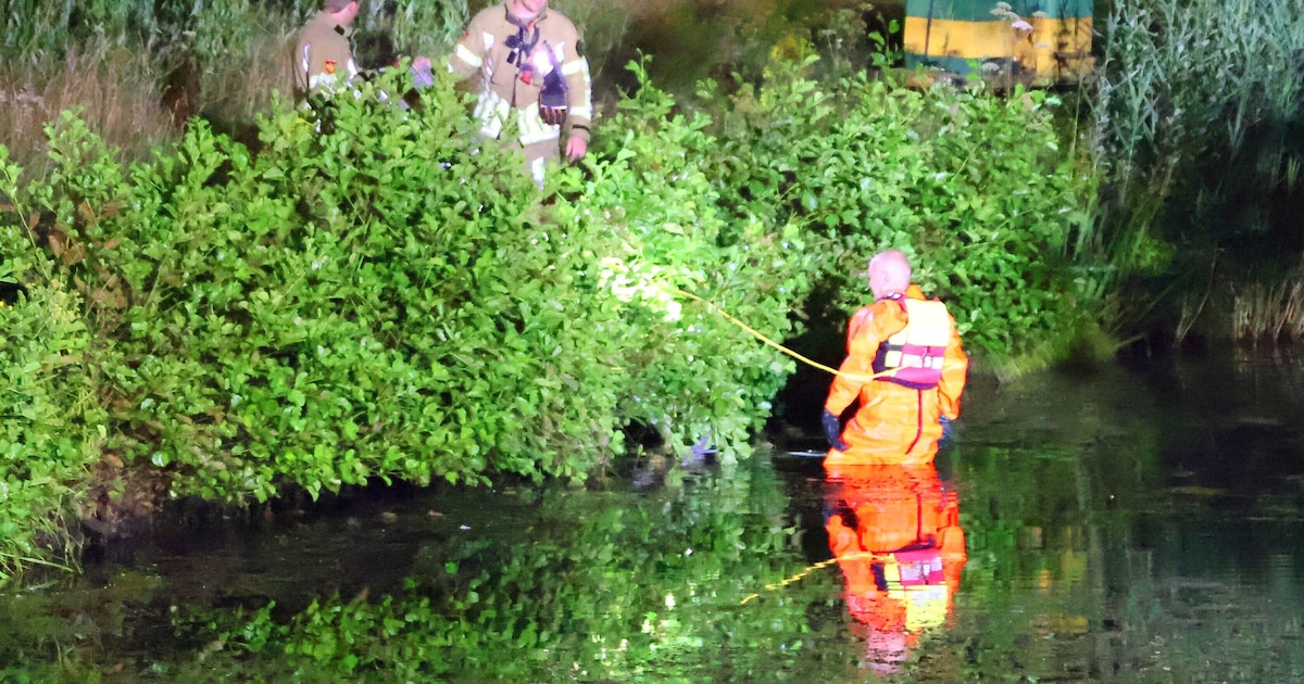 Nachtelijke reddingsactie in Amersfoort: brandweer redt hond uit het water
