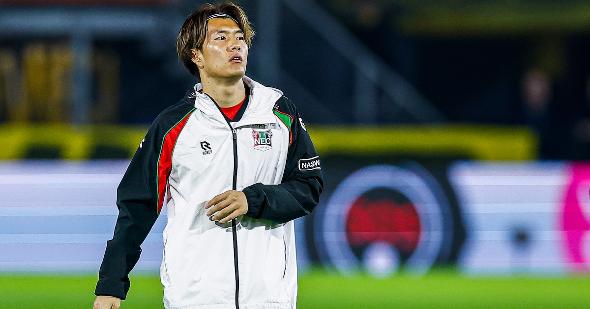 LIVE eredivisie | Blijft NEC aanhaken bij eredivisietop? Nijmegenaren trappen af bij PEC Zwolle