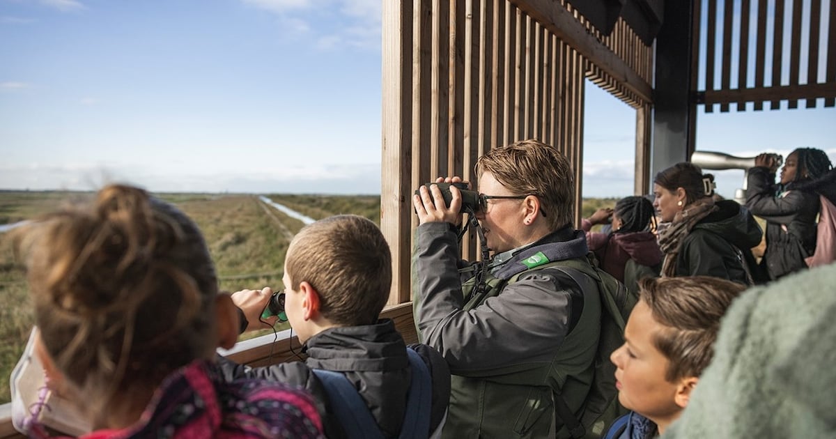 Wereldtrekvogeldag in Nationaal Park Nieuw Land met excursies en activiteiten