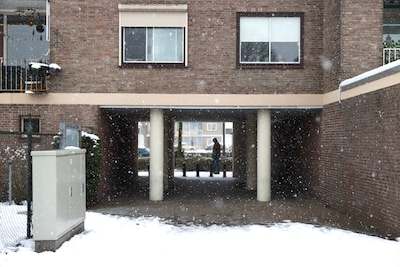 Image related to the article