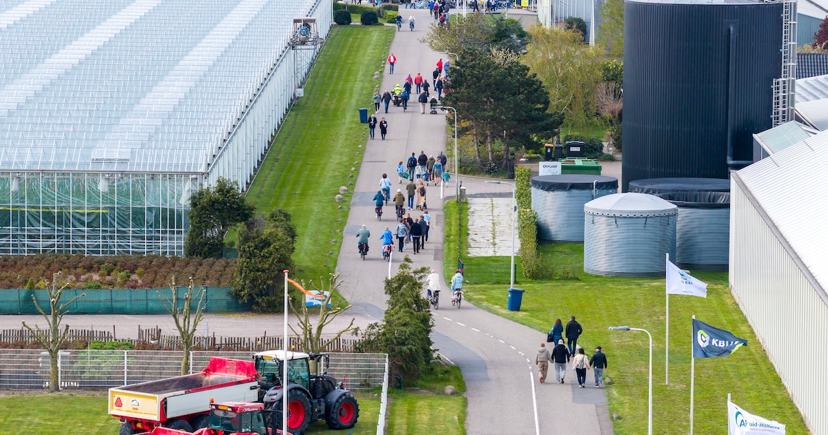 Honderden bezoekers bij Kom in de Kas, kassen in Maasdijk zondag nog tot 17.00 uur open