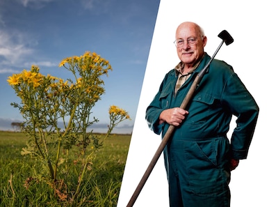 Inspiratie voor weerbare planten spot je langs de weg, merkt Romke van de Kaa