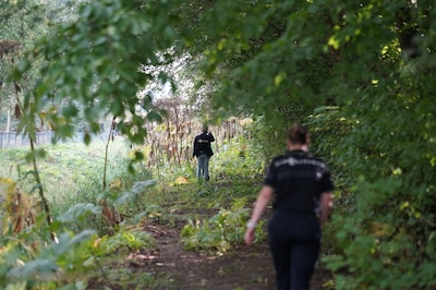 Wat gebeurt er als in het bos botten worden gevonden? In Dronten begint de zoektocht naar een naam