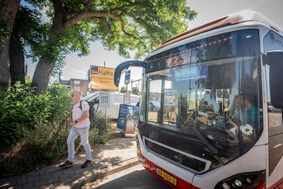 Vervangend busvervoer Maaslijn ‘loopt op rolletjes’: dit moet je weten als ov-reiziger tussen Boxmee
