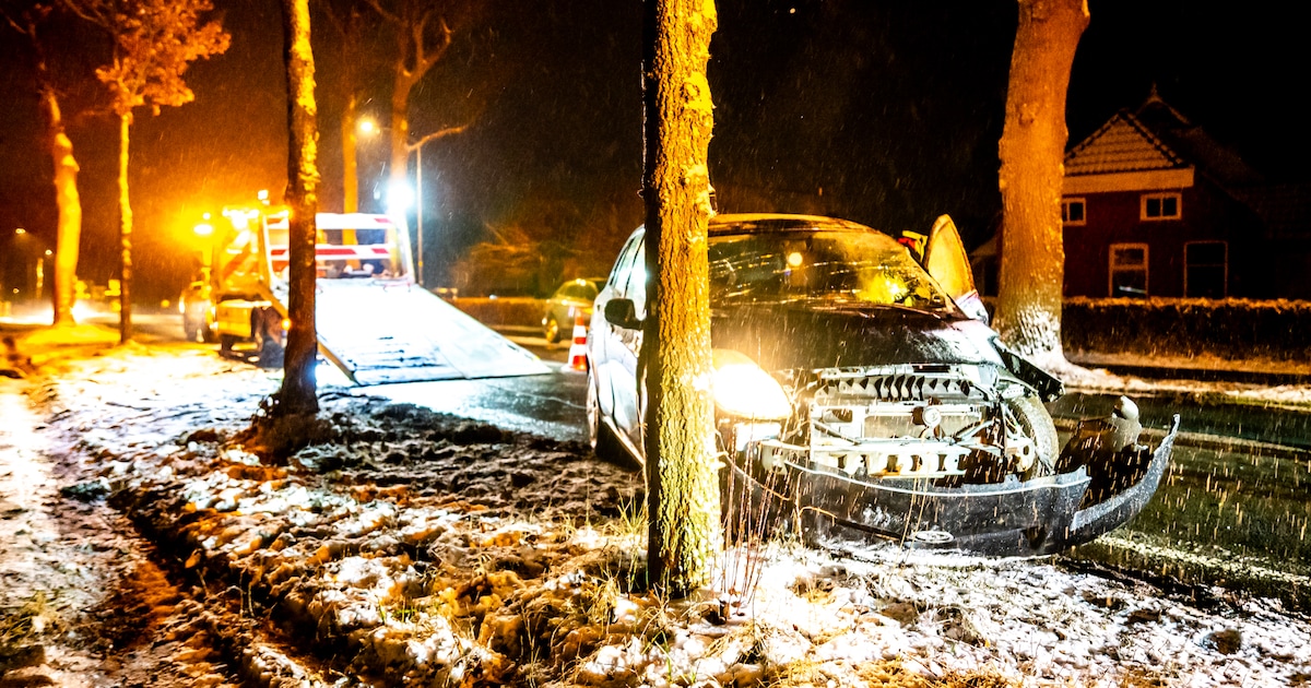 Auto raakt door gladheid van weg en ramt boom in Nietap
