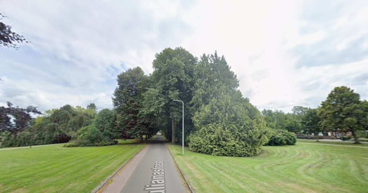Julianapark in Stadkanaal krijgt opfrisbeurt tijdens Natuurwerkdag, inwoners kunnen meedoen