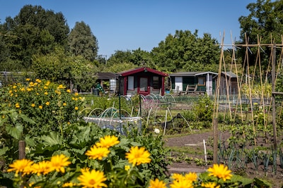 Diederik Slob gives lecture with tips for a more animal-friendly garden in Zuidervermaning Westzaan