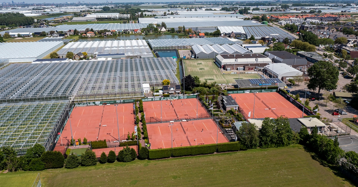 Twee nieuwe padelhallen in Westland: ‘Inwoners moeten dicht bij huis kunnen sporten’