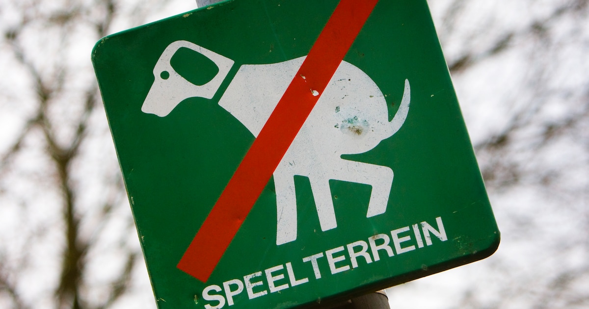 Medemblik herziet hondenlosloop- en verbodsgebieden: minder onduidelijkheid en spanningen tussen inw