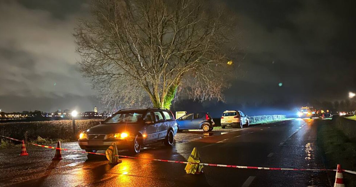 Vrouw uit Noorwegen overleden bij aanrijding op Bandijk in Terwolde