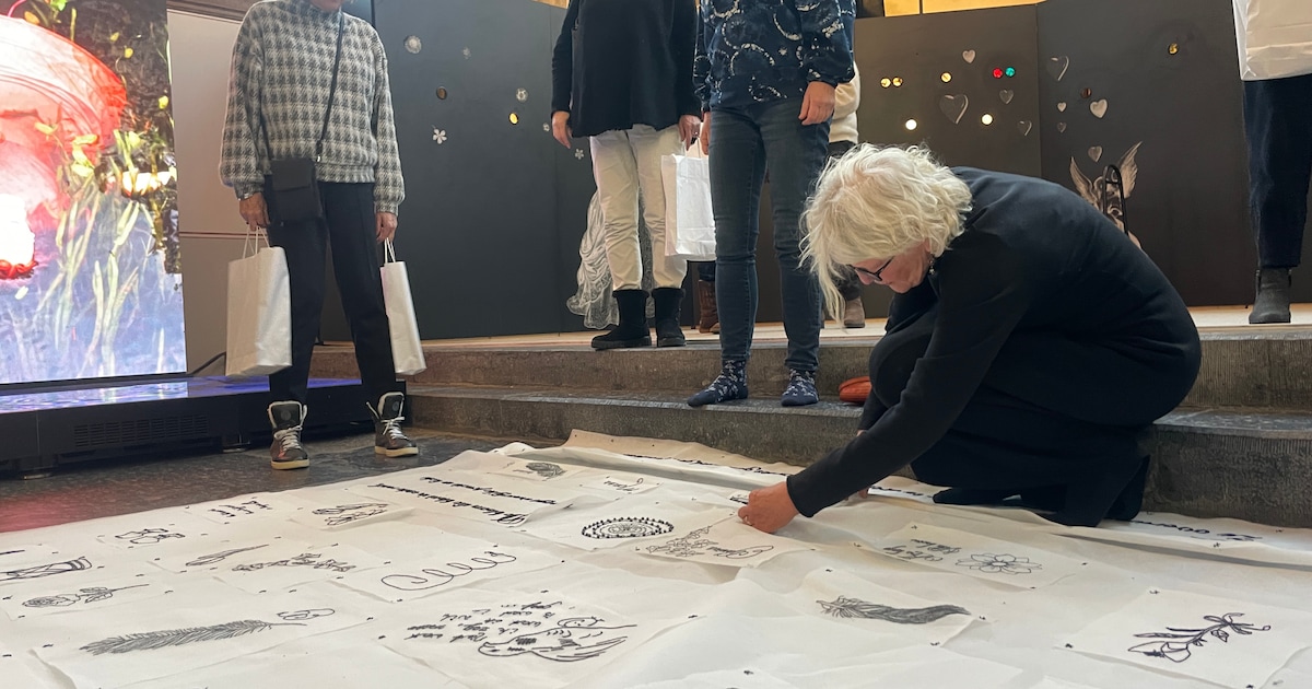 Meterslange jurk met geborduurde sleep onthuld in Zwolle