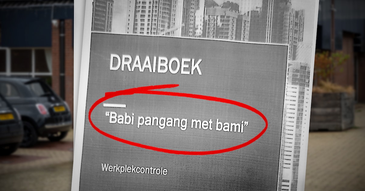 Arbeidsinspectie noemt inval bij Chinees restaurant ‘babi pangang met bami’, rechter valt erover