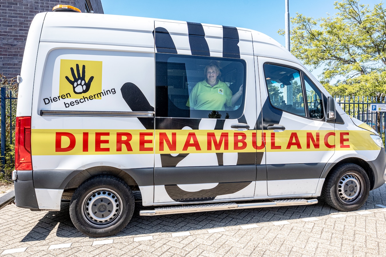 Vrijwilligers van de dierenambulance komen in actie