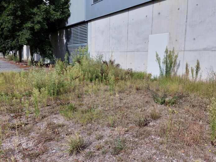 Deze fabriek gaat na miljoenenverlies tóch weer open: ‘Ik slaap er