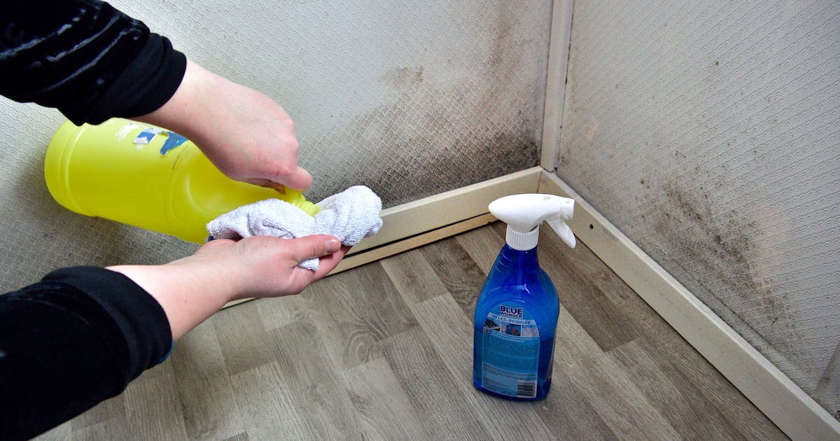 Opvallend veel kinderen met ernstige astma in Flevoland, hoe komt dat?