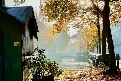 Een megafestival, vernieuwd reclamebord en dit wil je ook even lezen