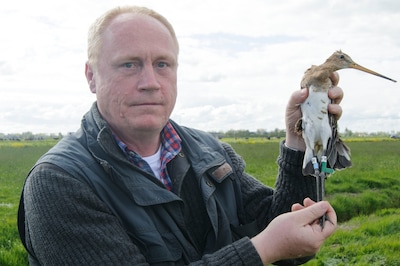 Image related to the article