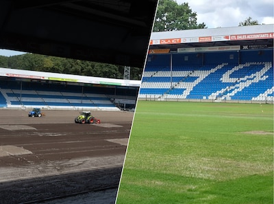 Veld De Graafschap kleurt groen