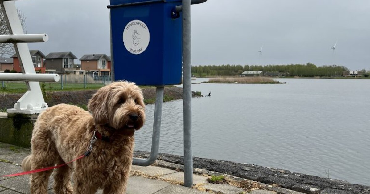 Barendrechtse afvalbakken vooral gebruikt voor zakjes met hondenpoep