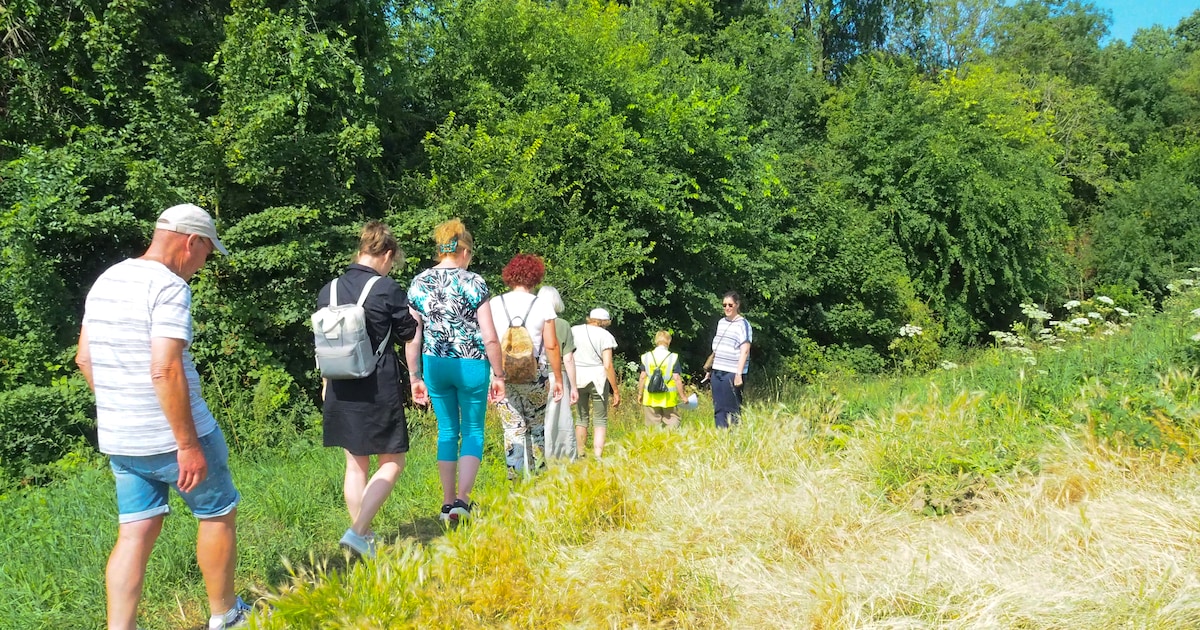 Ontdek Simonshaven: natuurwandeling langs historische plekken