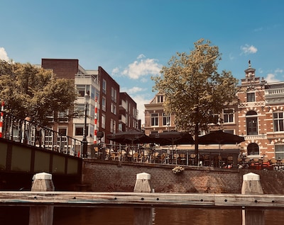 Call: what are your favorite places in Haarlem?