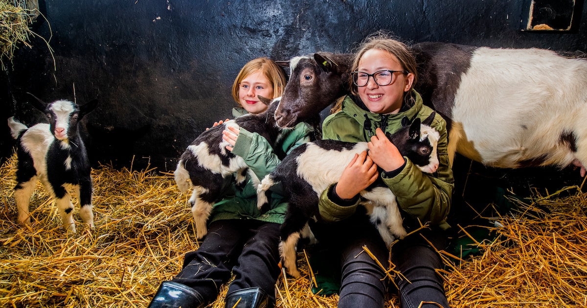 Kinderboerderij Klaverweide houdt herfstmiddag in Capelle aan den IJssel