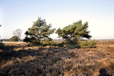 Image related to the article