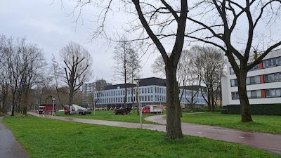 Image related to the article