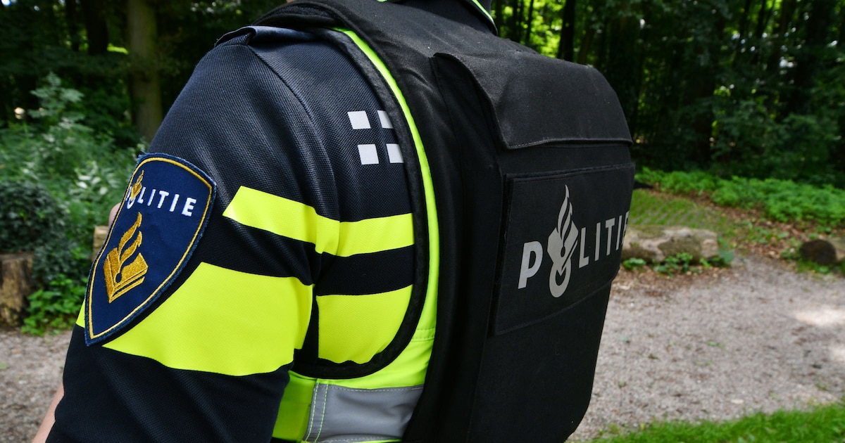 Gewonde bij steekpartij in boerderij Grashoek