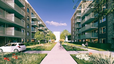 Image related to the article