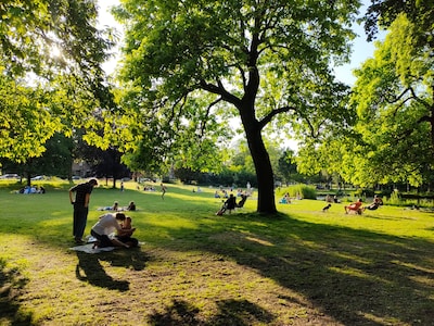 Extra toezicht in park Oog in Al om aanhoudende overlast aan te pakken