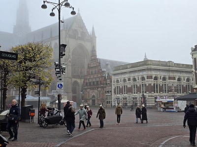 Weekend tips: things to do in Haarlem (October 9-11)