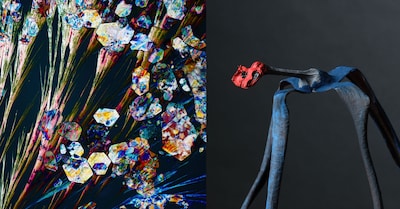 Foto-expositie 'De Verbeelding' opent in Nijmegen