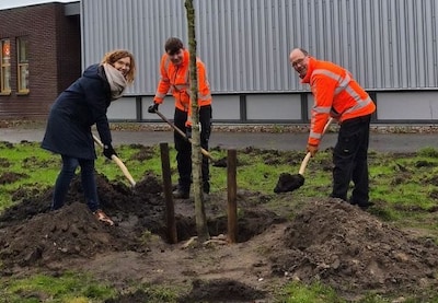 Hattem plaatst duurzame symbolische boom bij De Marke na initiatief van inwoner
