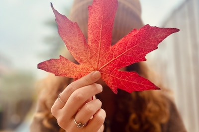 Bucketlist! 5 x dingen om deze herfst te doen in Schiedam