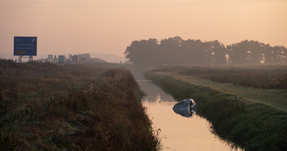 Auto in de sloot langs A59 bij Terheijden, bestuurder naar ziekenhuis