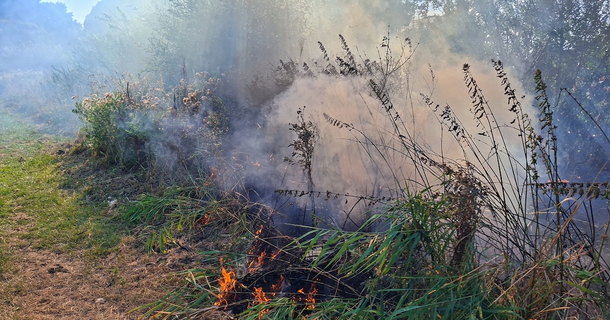 Bermbrand aan Merwedestraat in Beverwijk onder controle