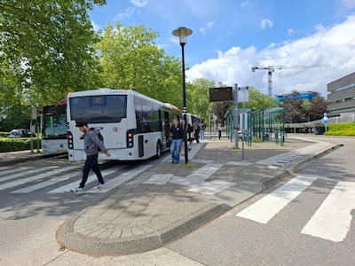Zo gaat het nieuwe busstation van Druten eruit zien: meer ruimte en een betere plek voor je fiets