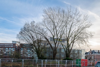 Stadsboswachters roepen op: ‘Gemeente, blijf af van monumentaal groen!’