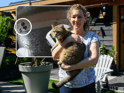 Donny werd slachtoffer van ‘catnapper’, baasje Agnes wordt ‘helemaal gek’ als ze de beelden ziet
