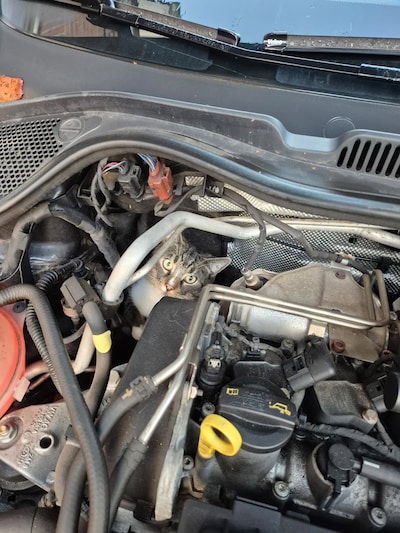 Firefighters rescue cat from under car hood in Haarlem