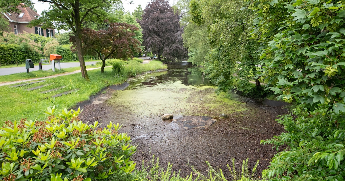 Baarn presenteert onderzoeksresultaten Wilhelminavijver