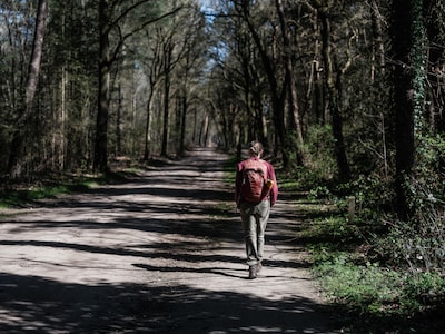 Zonnig weekend op komst: perfect weer voor wandeling of fietstocht, maar een bui is niet uitgesloten