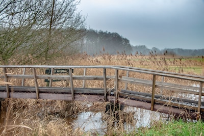 Drie fracties vrezen dat Overijssel natuurdoelen niet gaat halen: ‘Het moet steviger’